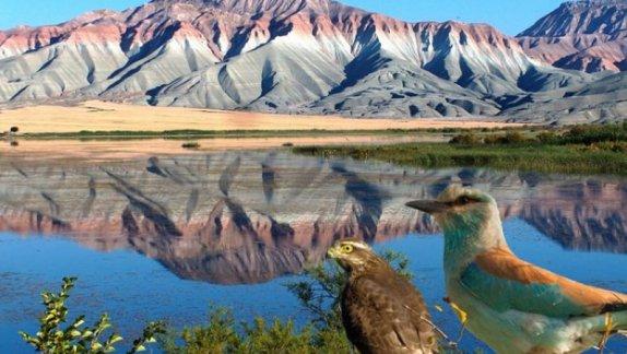 2 Şubat Dünya Sulak Alanlar Günü Nallıhan Davutoğlan Kuş Cennetinde kutlandı